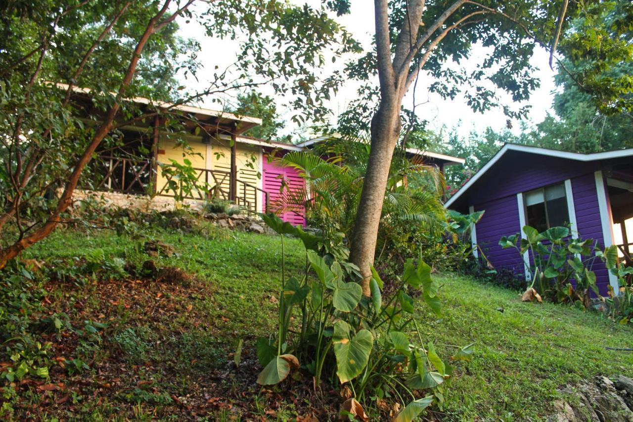 Winika Alterra Villa Palenque Exterior foto