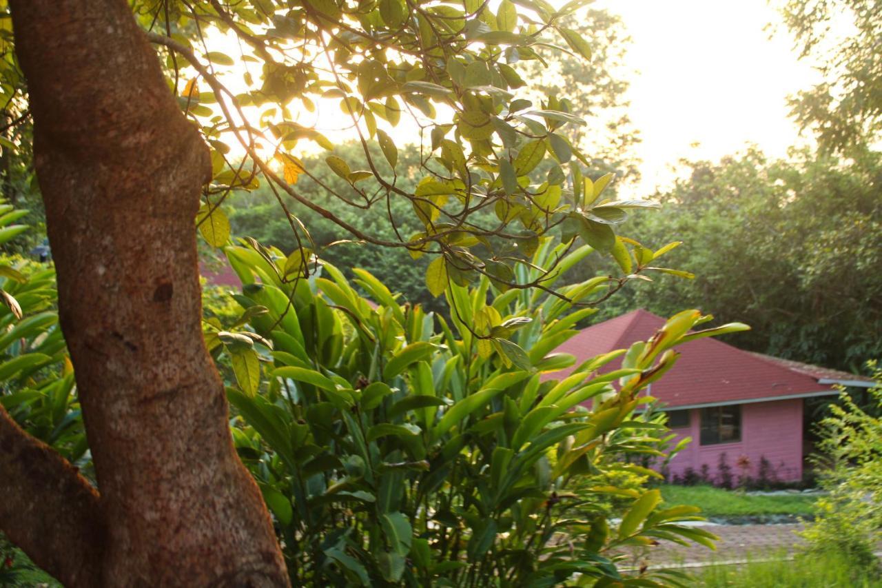 Winika Alterra Villa Palenque Exterior foto