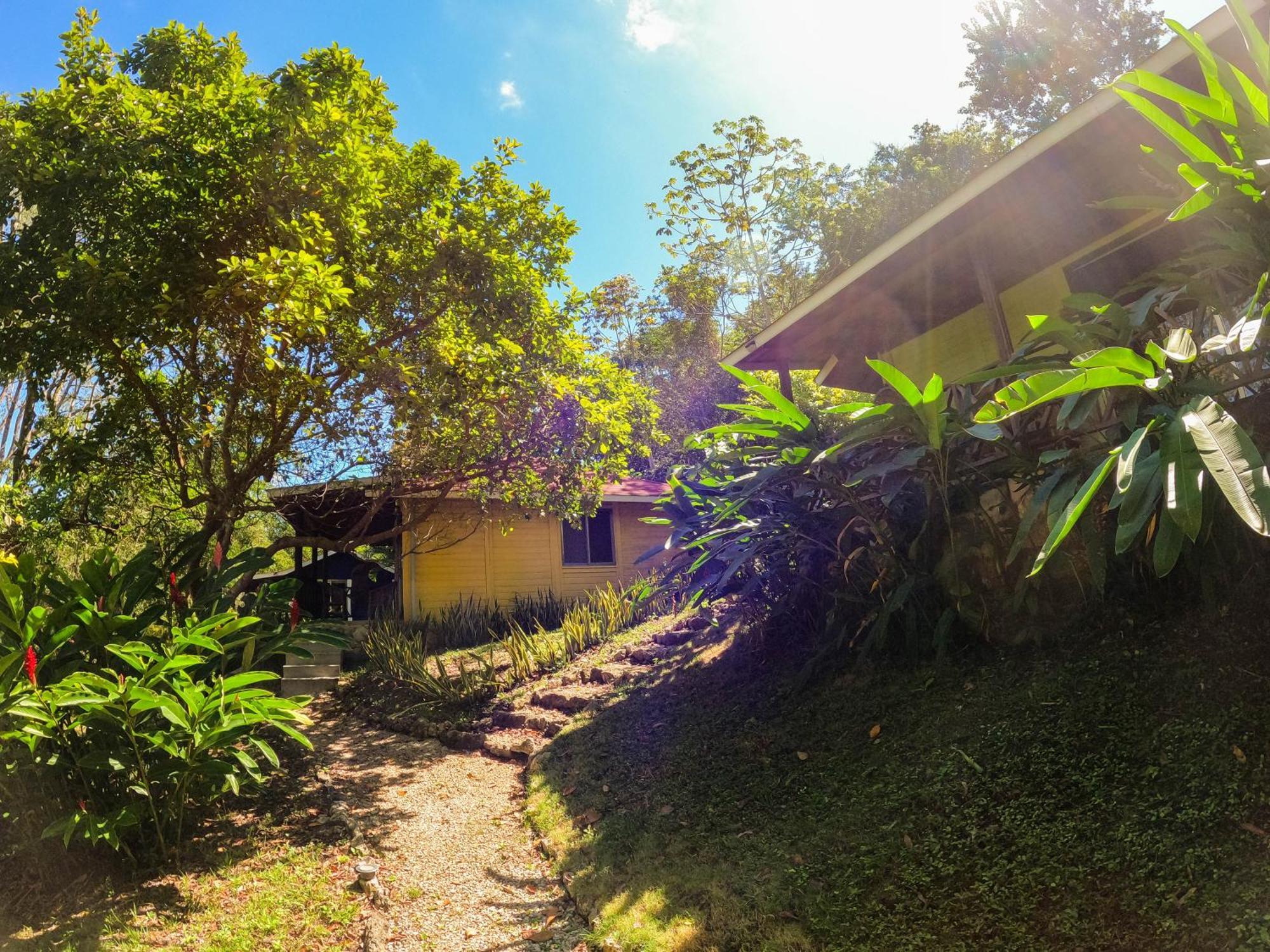 Winika Alterra Villa Palenque Exterior foto